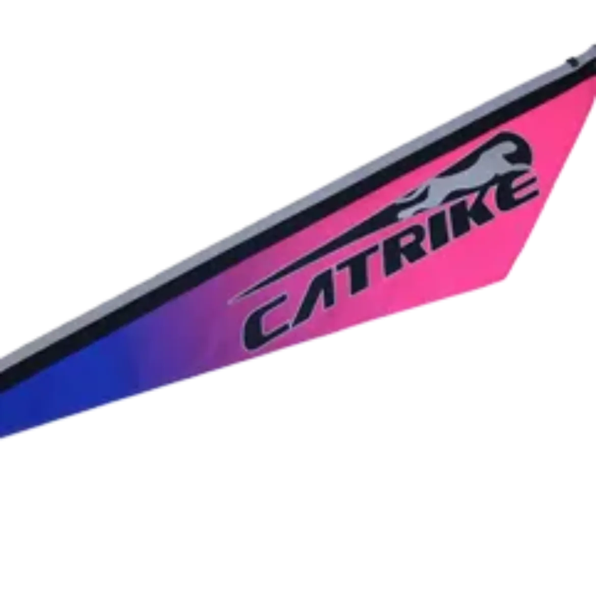 PURPLE SKY BLUE/PINK FLAG